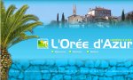 Cliquez pour allez voir le site
