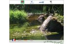 Cliquez pour allez voir le site